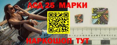 крисы Можга