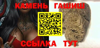 крисы Можга