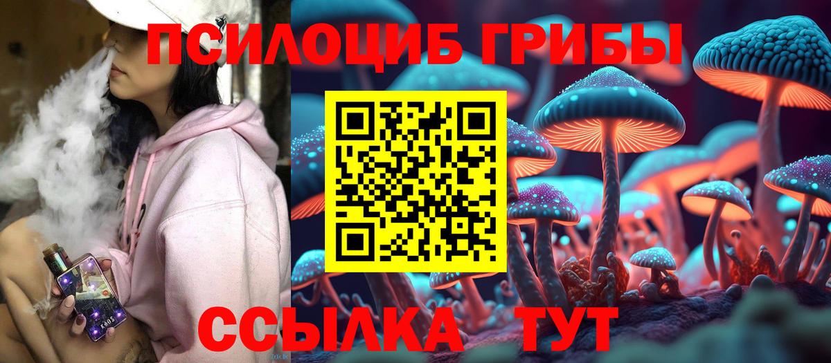 Псилоцибиновые грибы GOLDEN TEACHER Тара